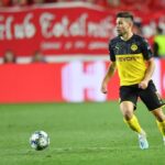 Raphael Guerreiro
