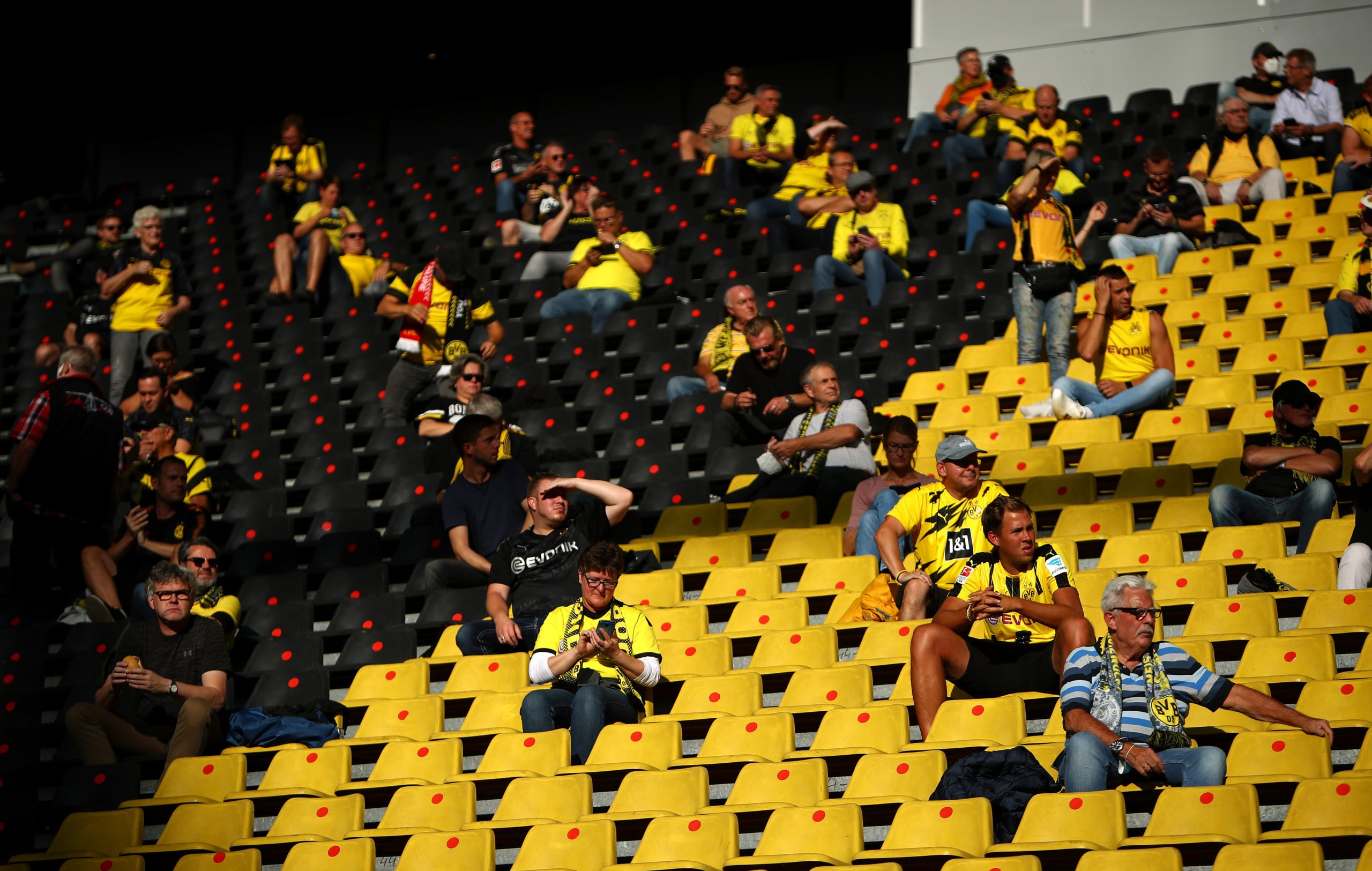 BVB Fans