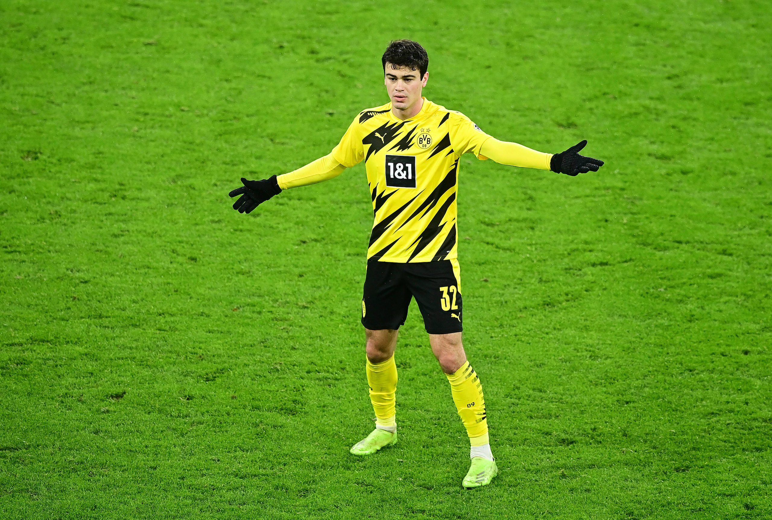 Gio Reyna