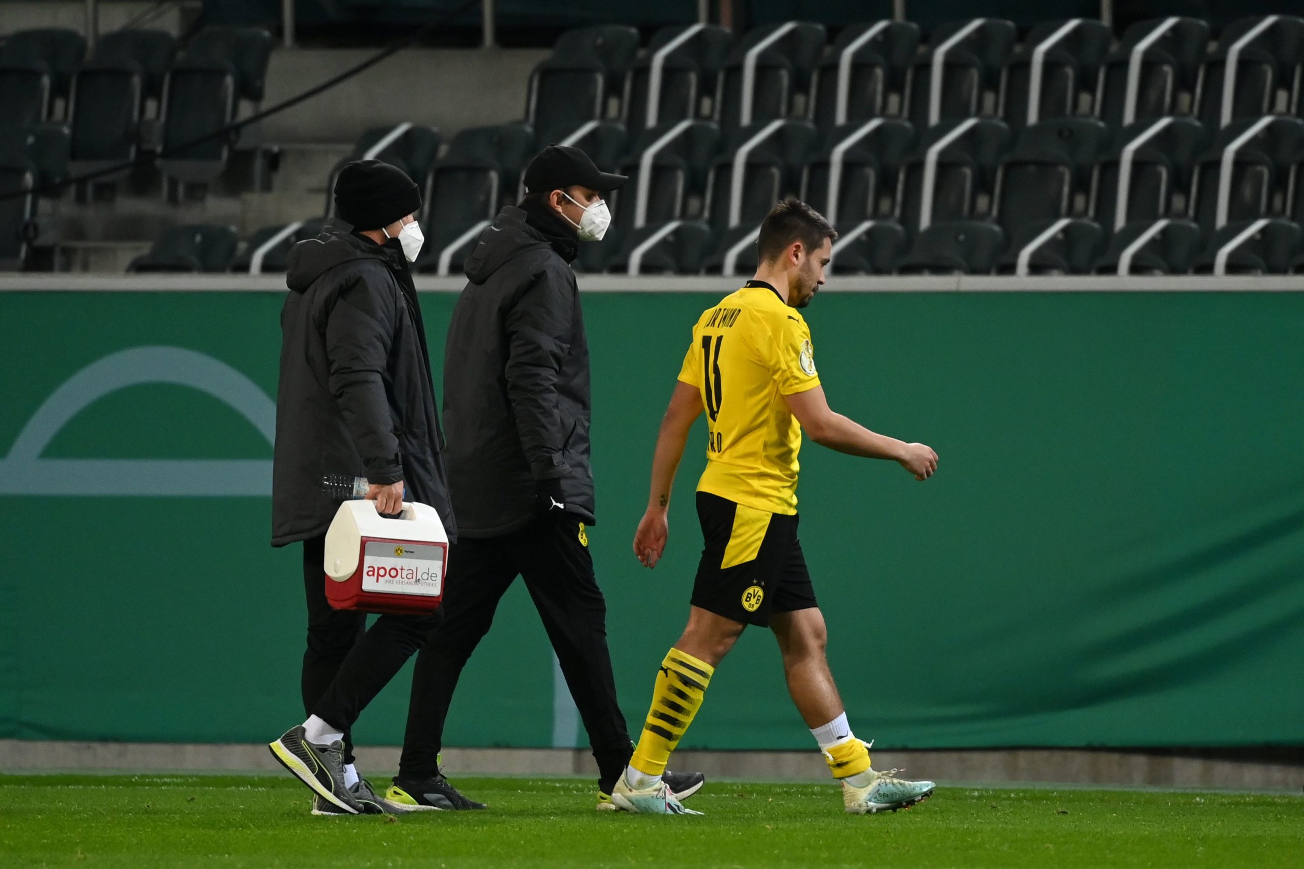 Raphael Guerreiro