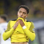 Donyell Malen