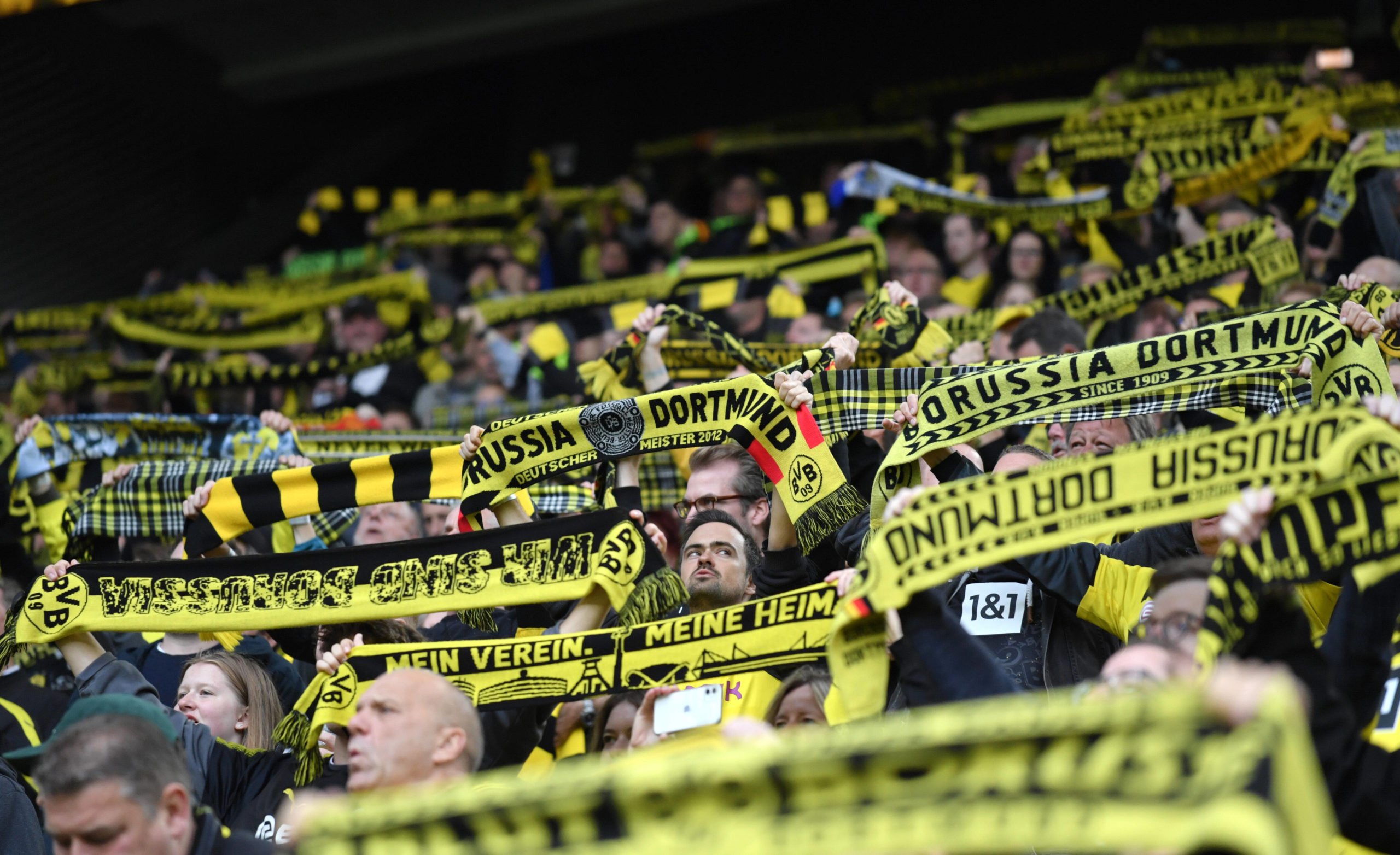 BVB Fans