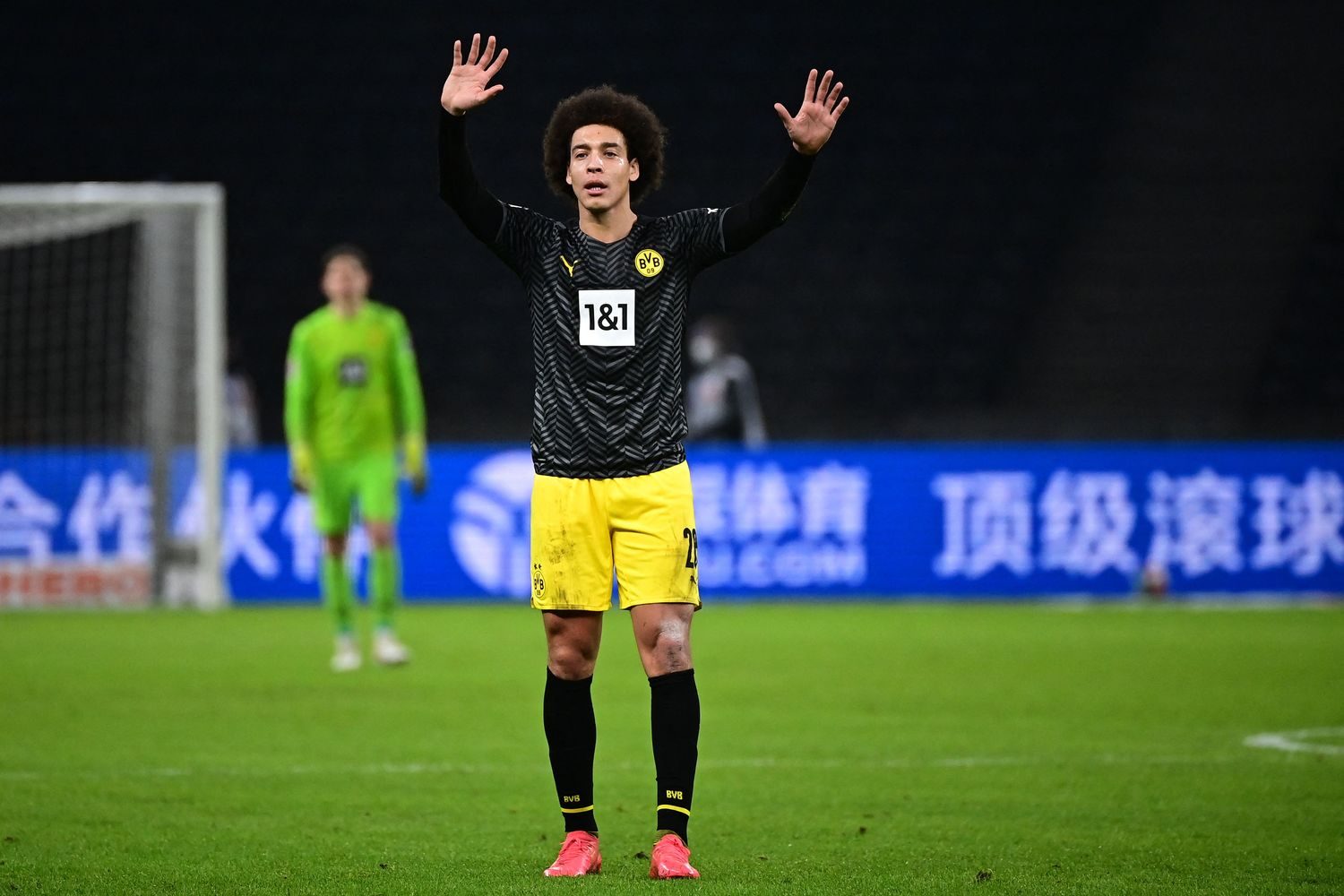 Axel Witsel