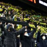 BVB Fans