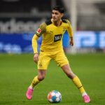 Mahmoud Dahoud
