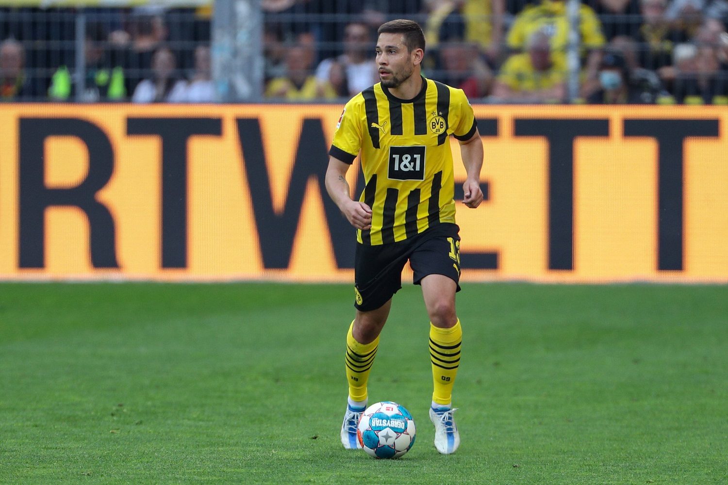 Raphael Guerreiro