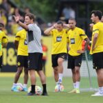 BVB Training
