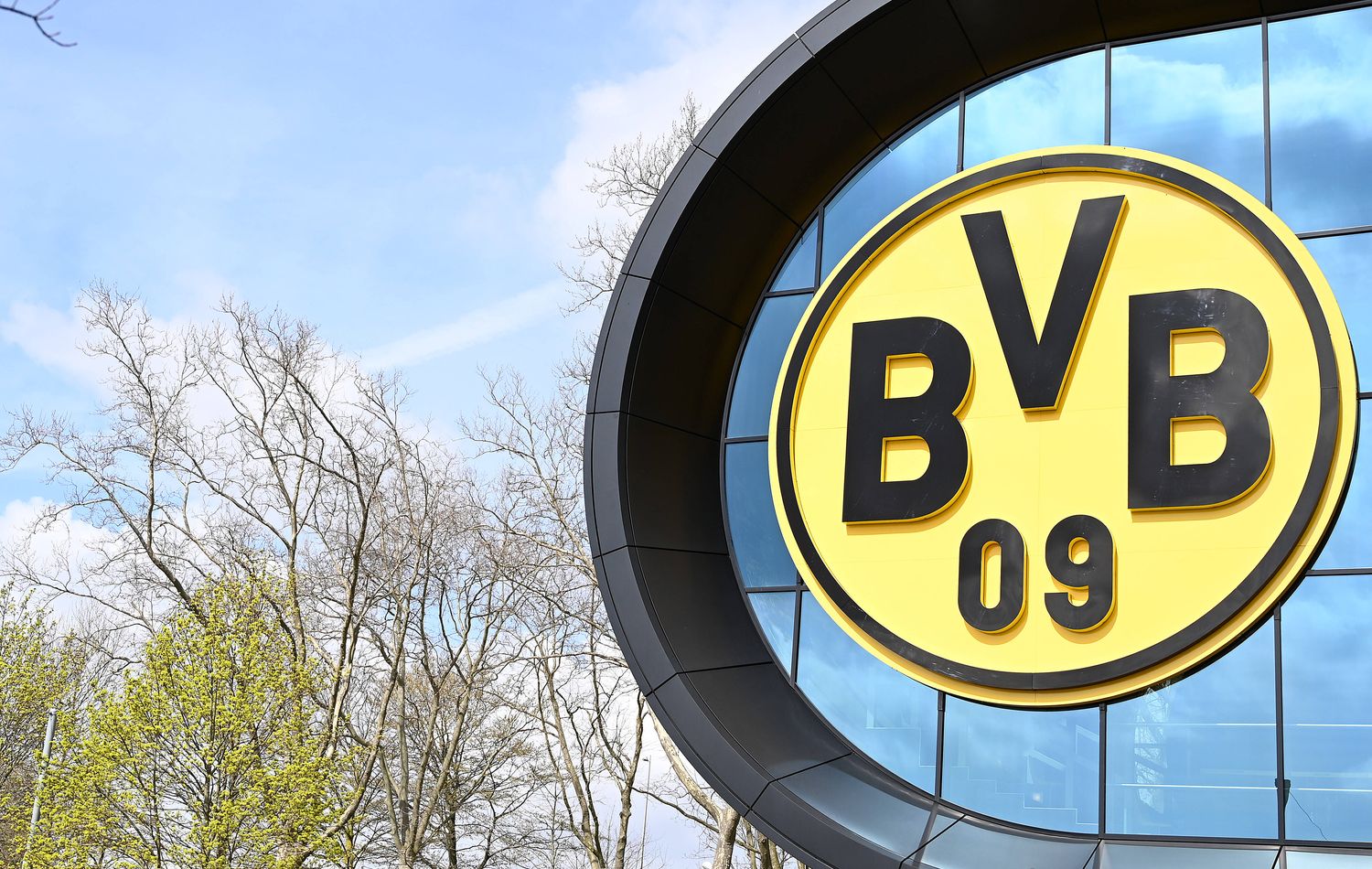BVB Logo