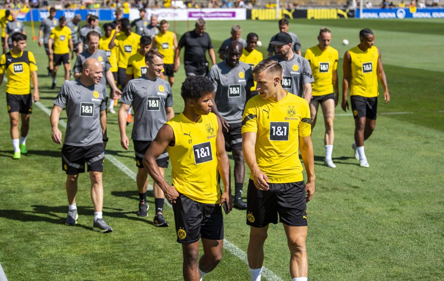 BVB