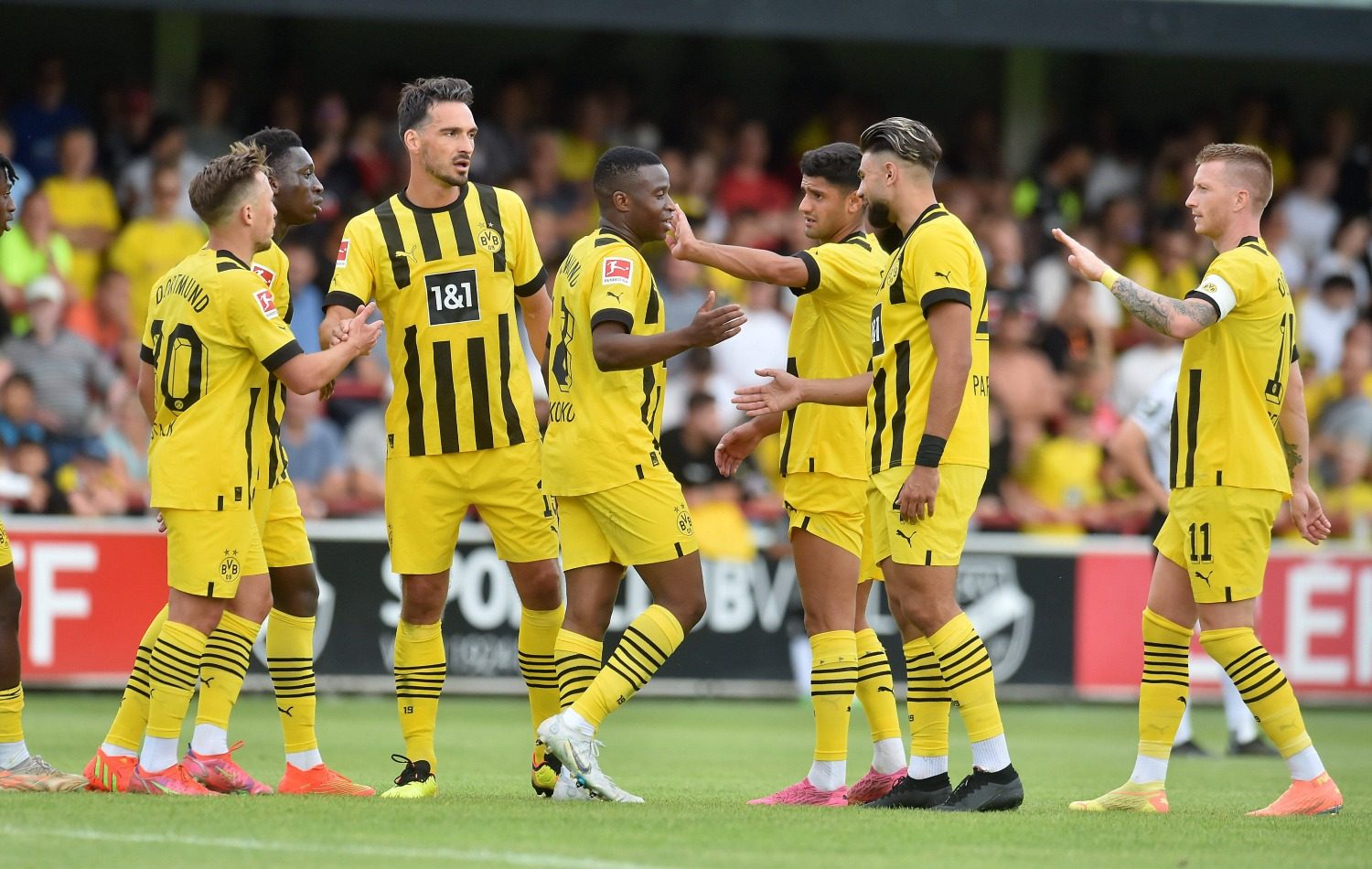 BVB