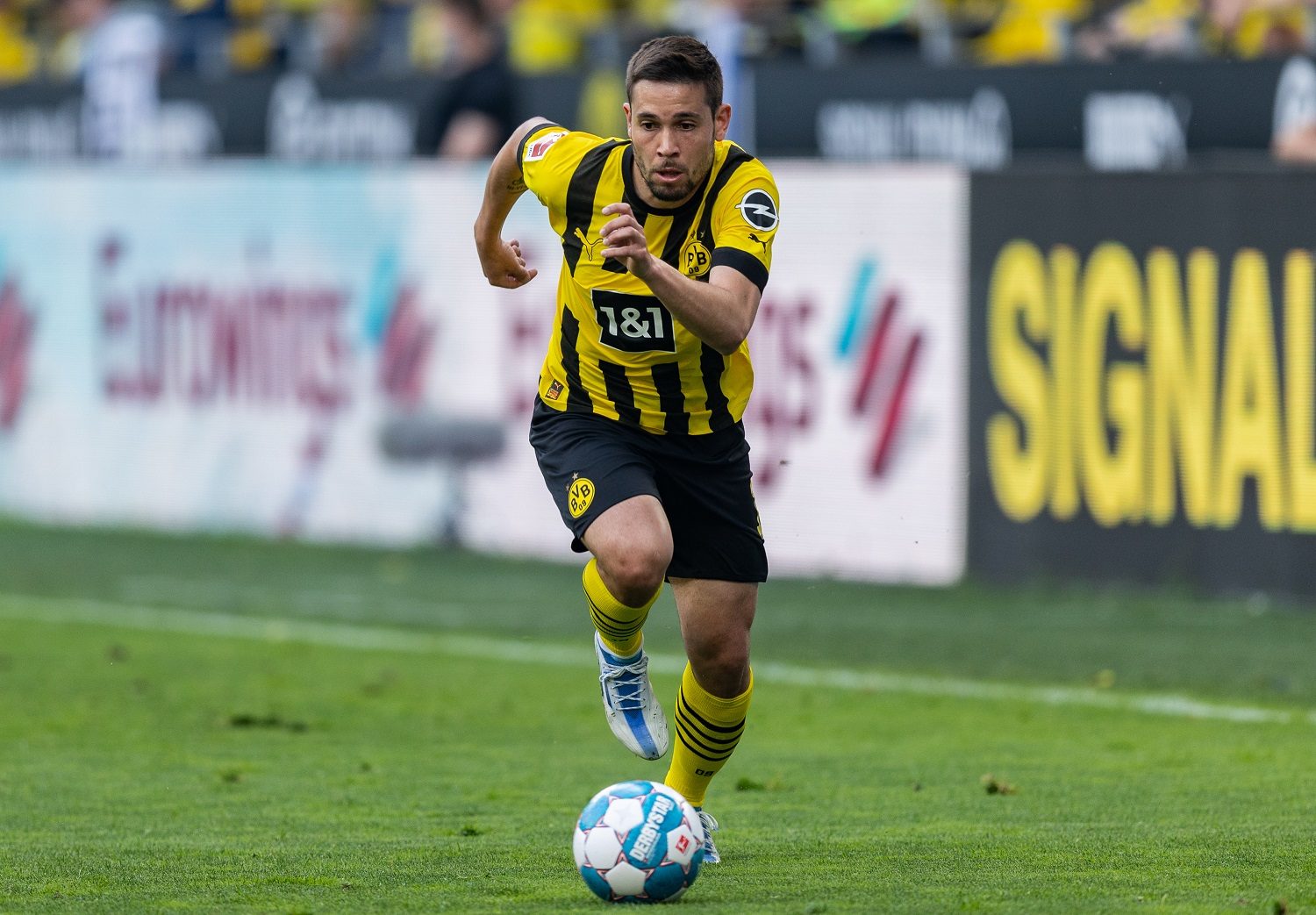 Raphael Guerreiro