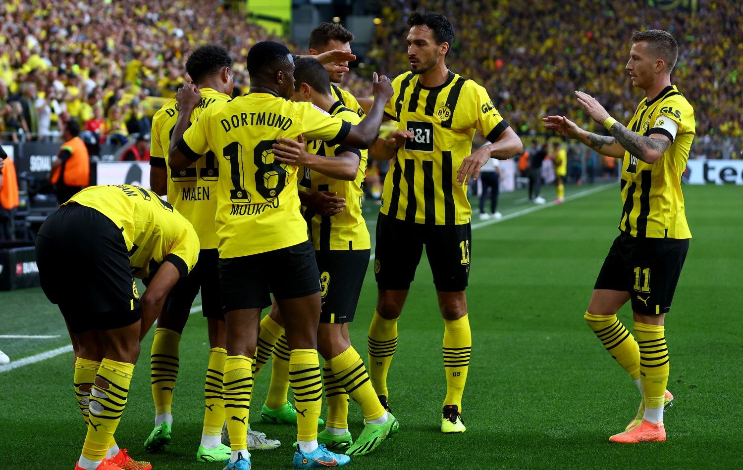 BVB