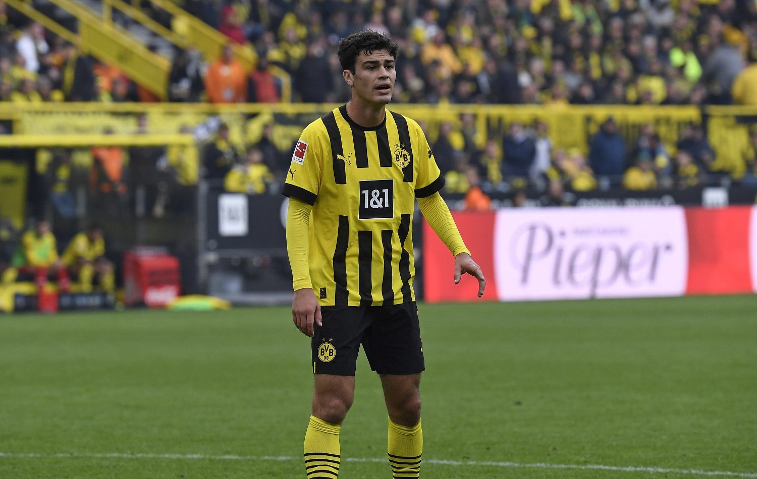 Giovanni Reyna