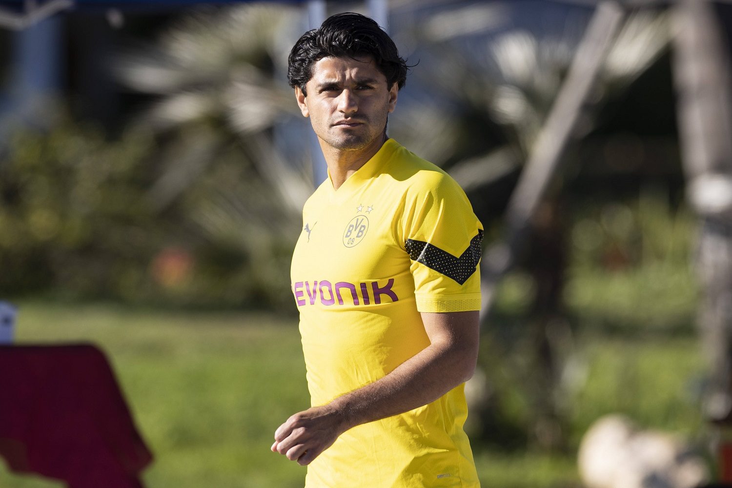 Mahmoud Dahoud