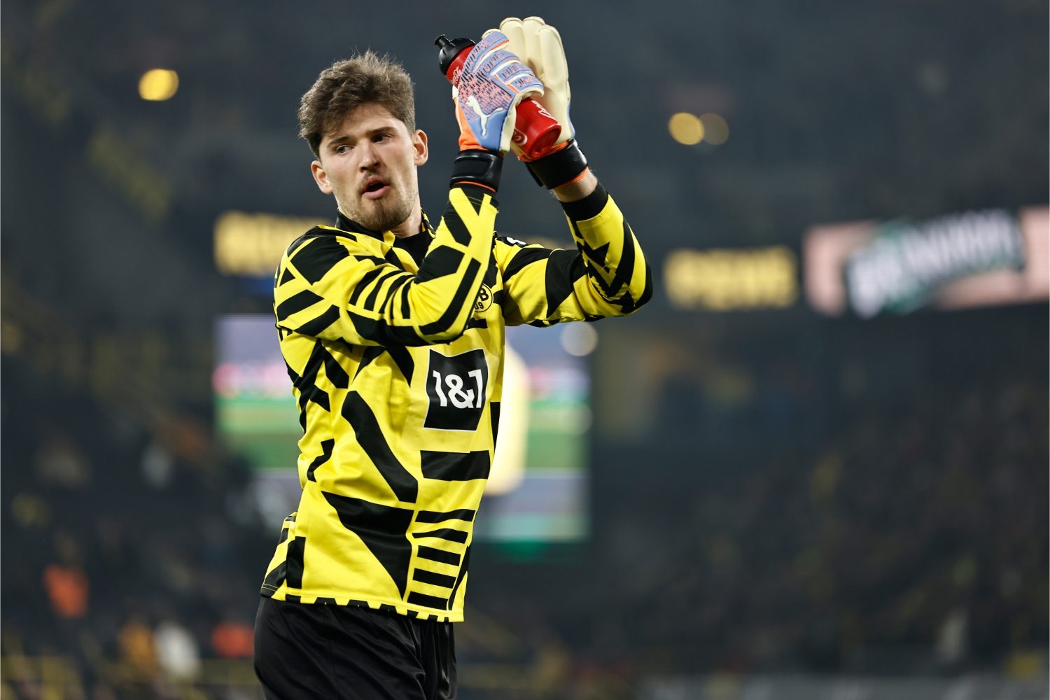 Gregor Kobel