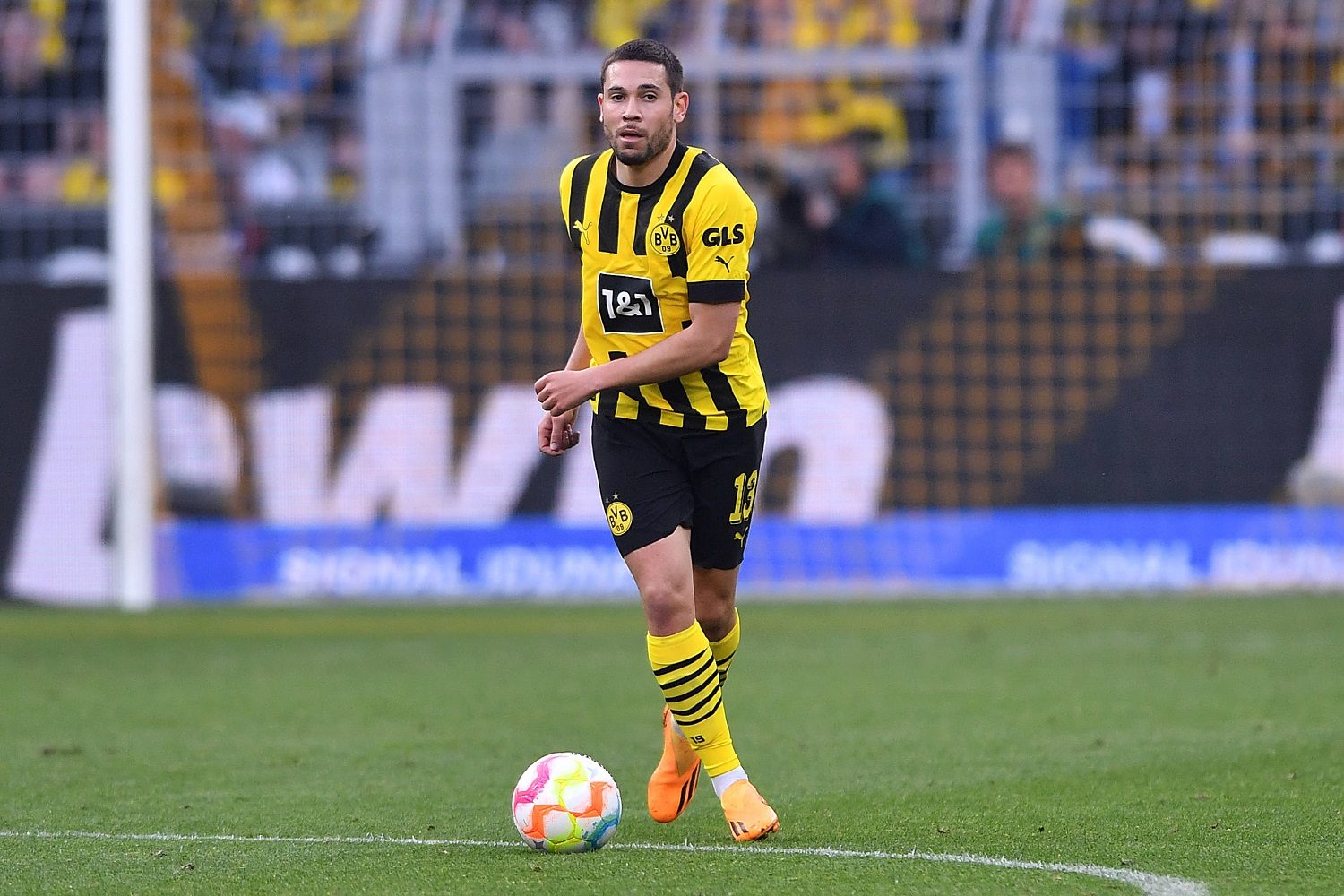 Raphael Guerreiro