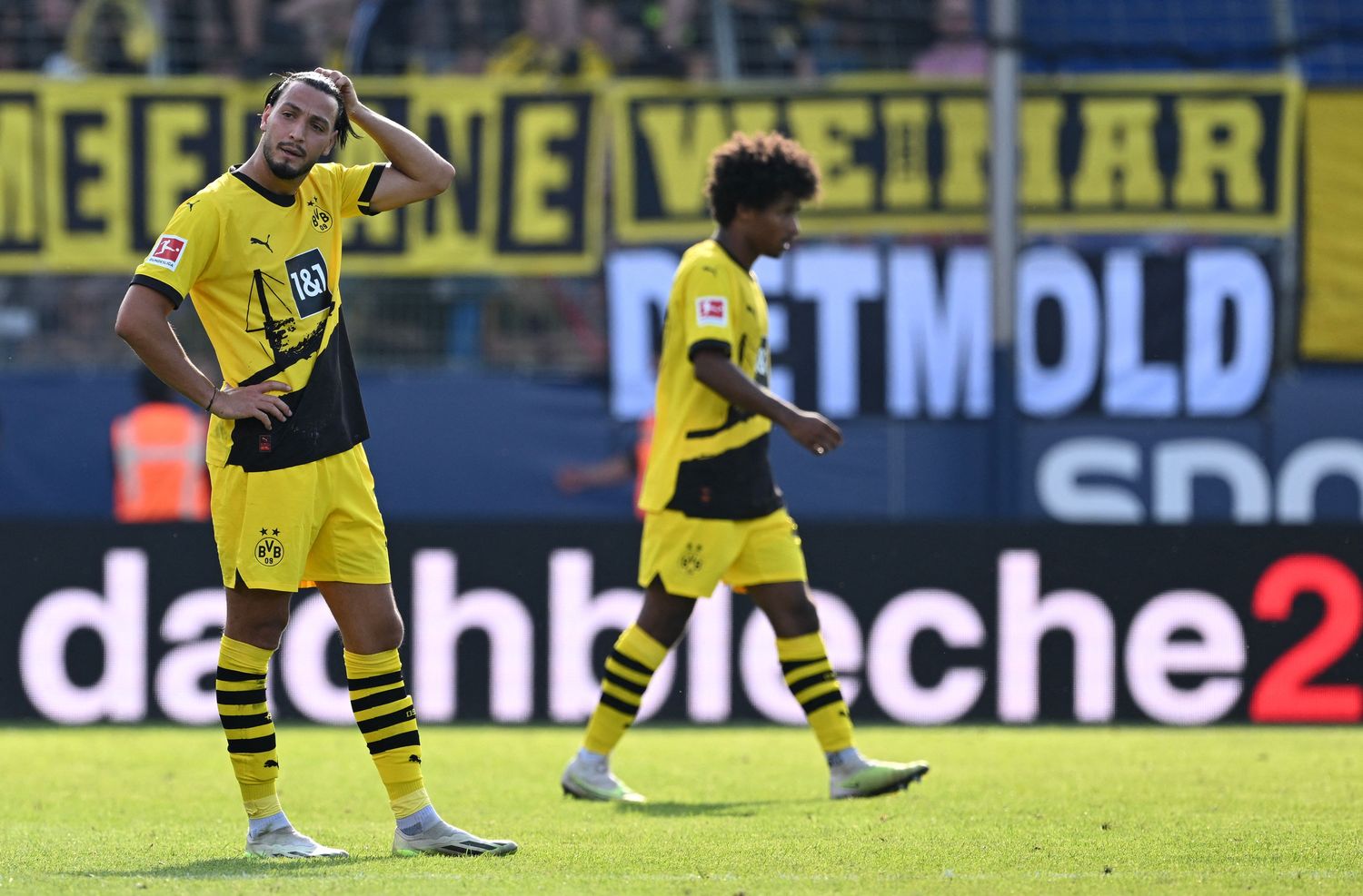 BVB