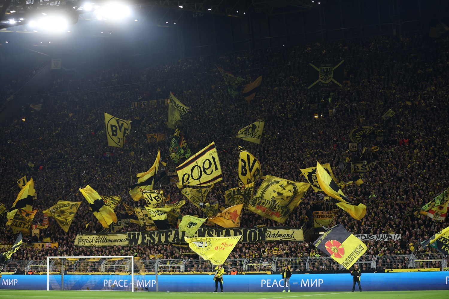 BVB-Fans