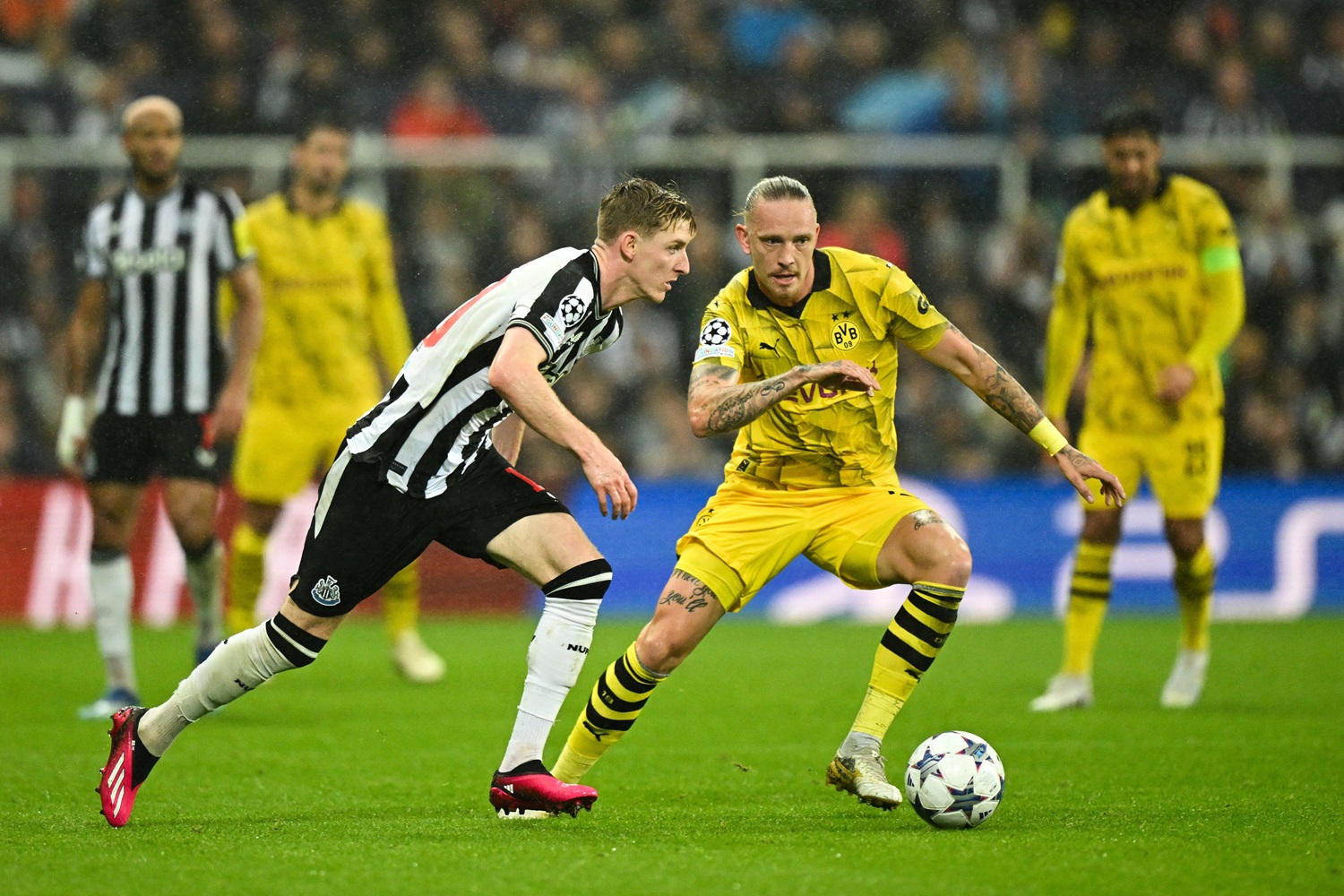 BVB vs. Newcastle United