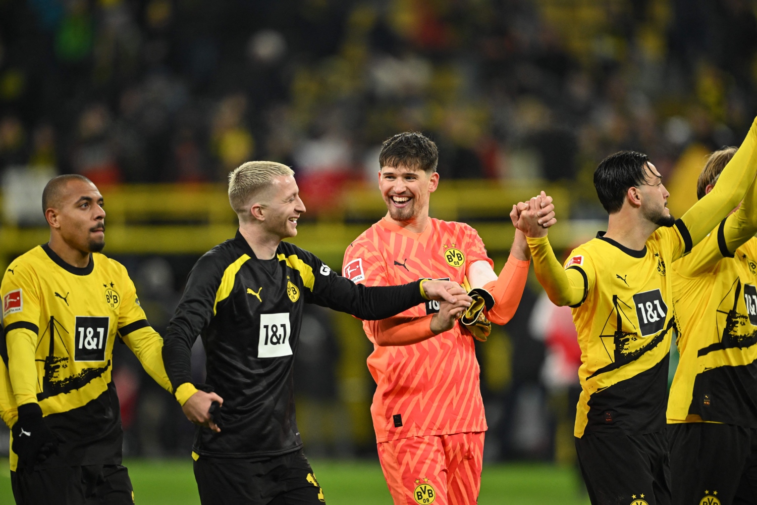 BVB
