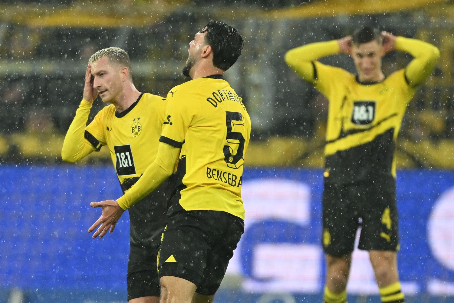 BVB