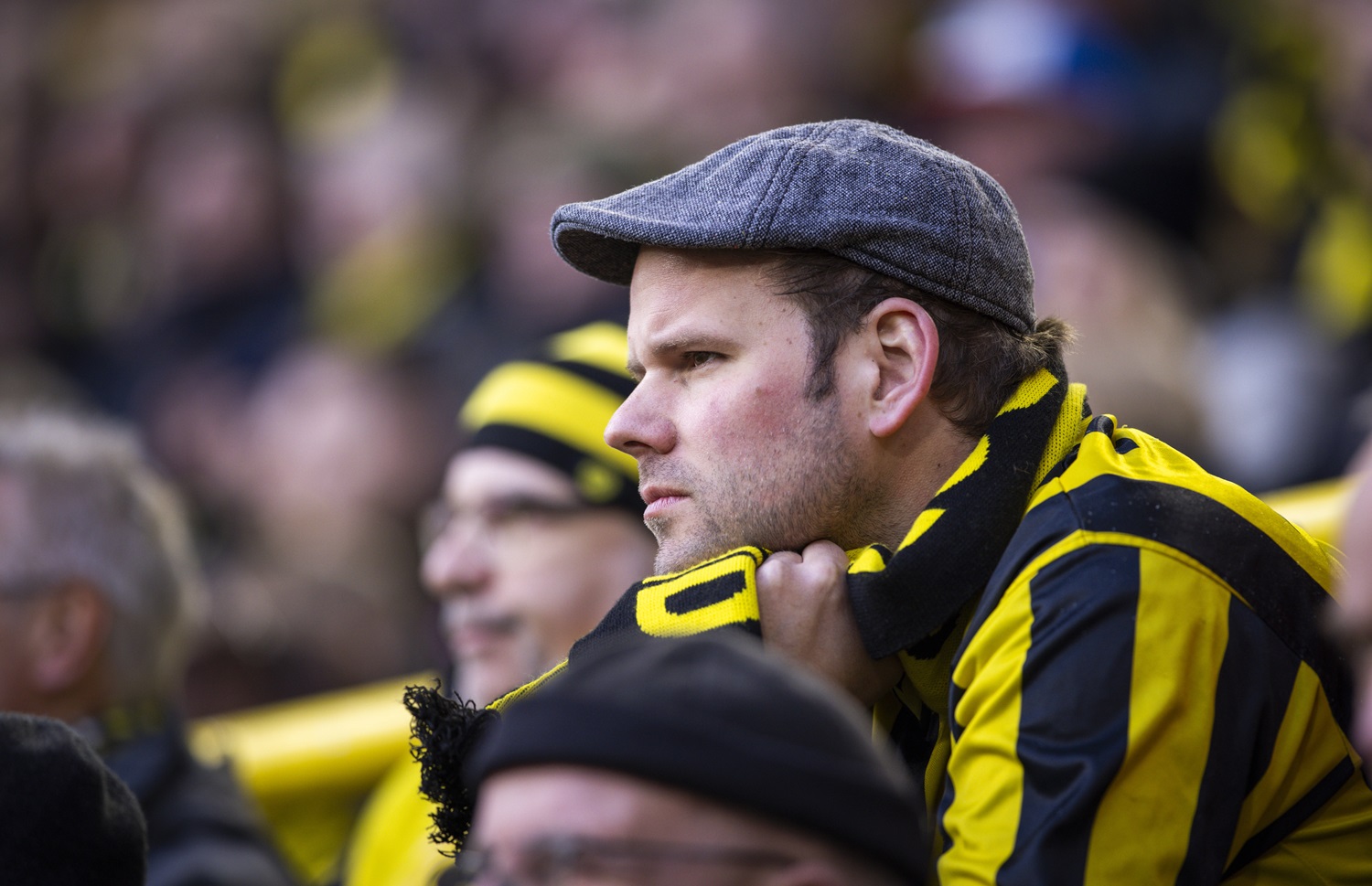 BVB Fans