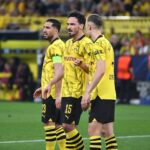 BVB-Profis