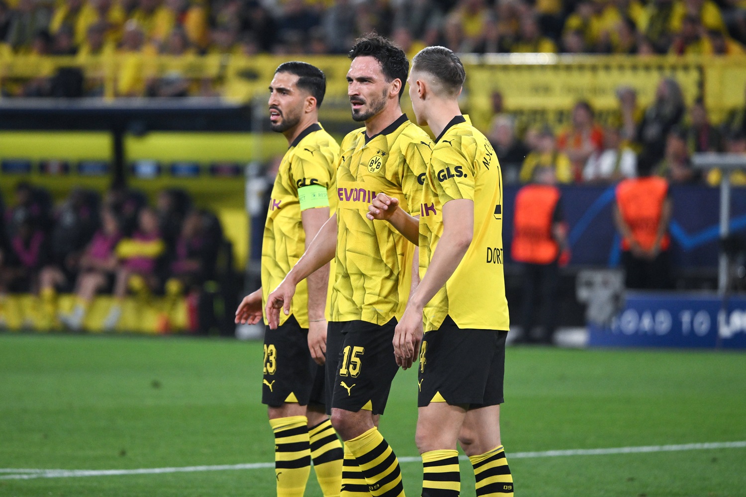 BVB-Profis