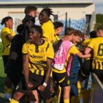 BVB U19