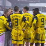 BVB-Fan mit Spielern