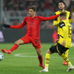BVB Bayer