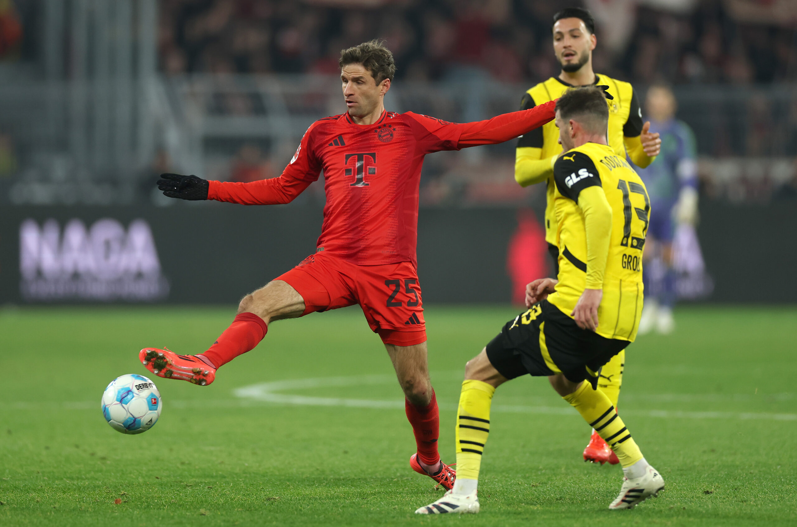 BVB Bayer