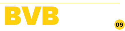 BVBWLD - Aktuelle BVB News